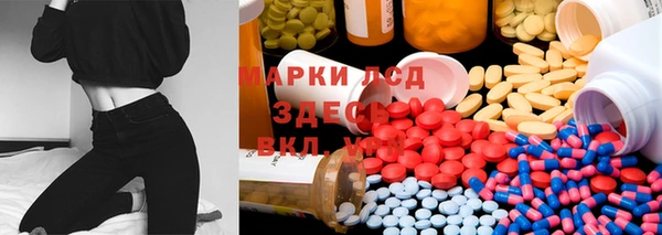дмт Пестово