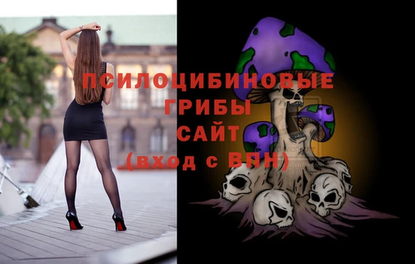 хмурый Переславль-Залесский